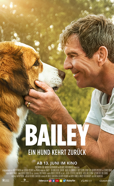 Bailey - Ein Hund kehrt zurück (2019)